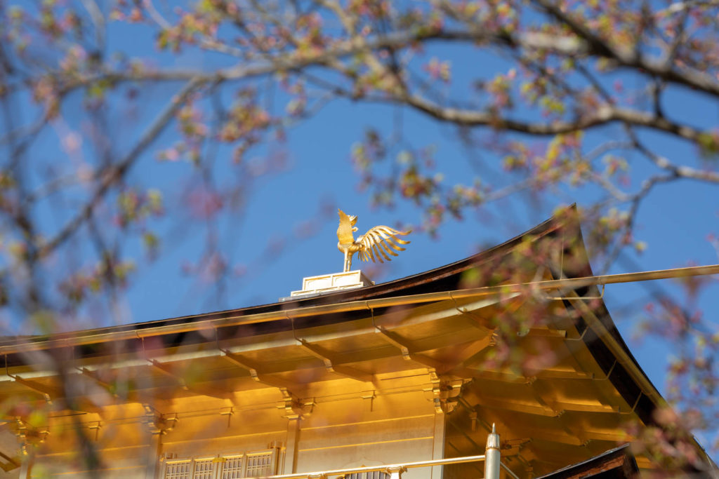 Kinkaku-ji (Golden Pavilion), Kyoto