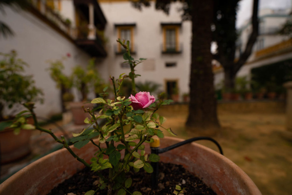 Casa de Pilatos, Seville, Spain
