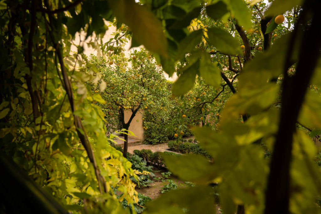 Alcázar of Seville, Spain