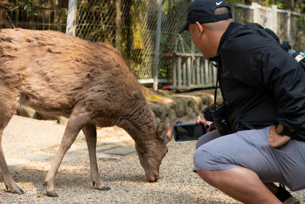 Carl and deer, Nara, Japan