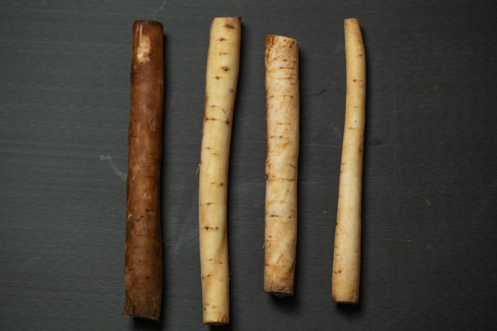 Various washed burdock root (gobo)