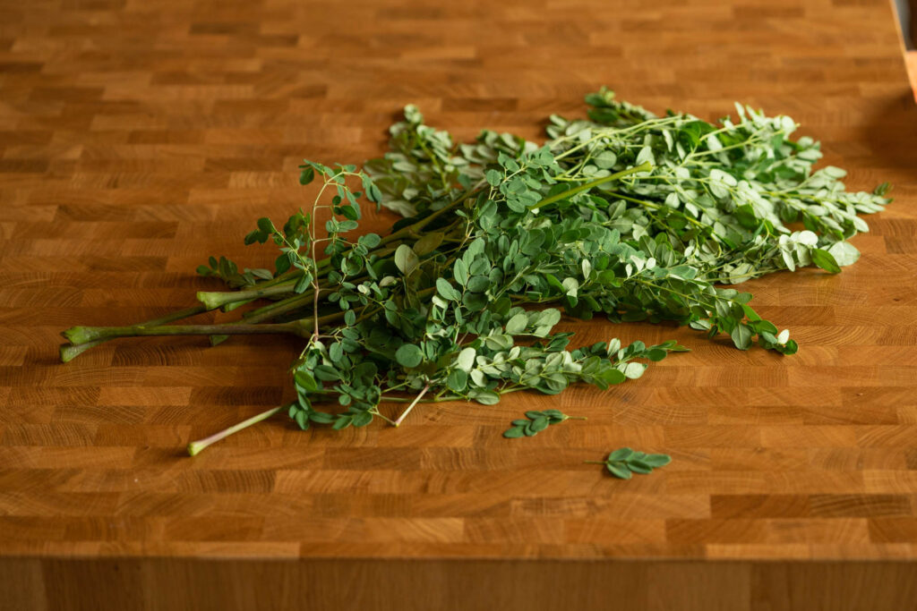 moringa branches