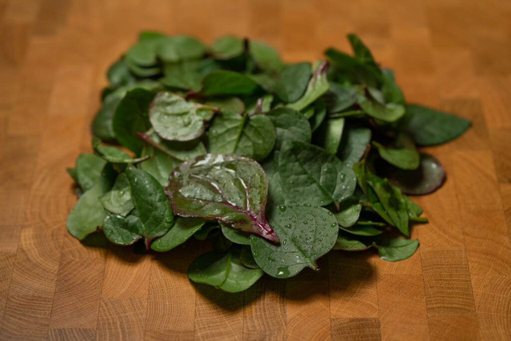 Malabar Spinach