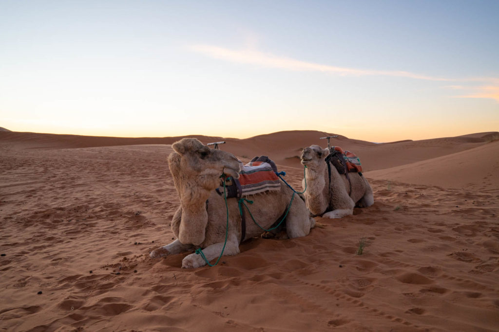Ali & Sara's Desert Palace, Merzouga, Morocco