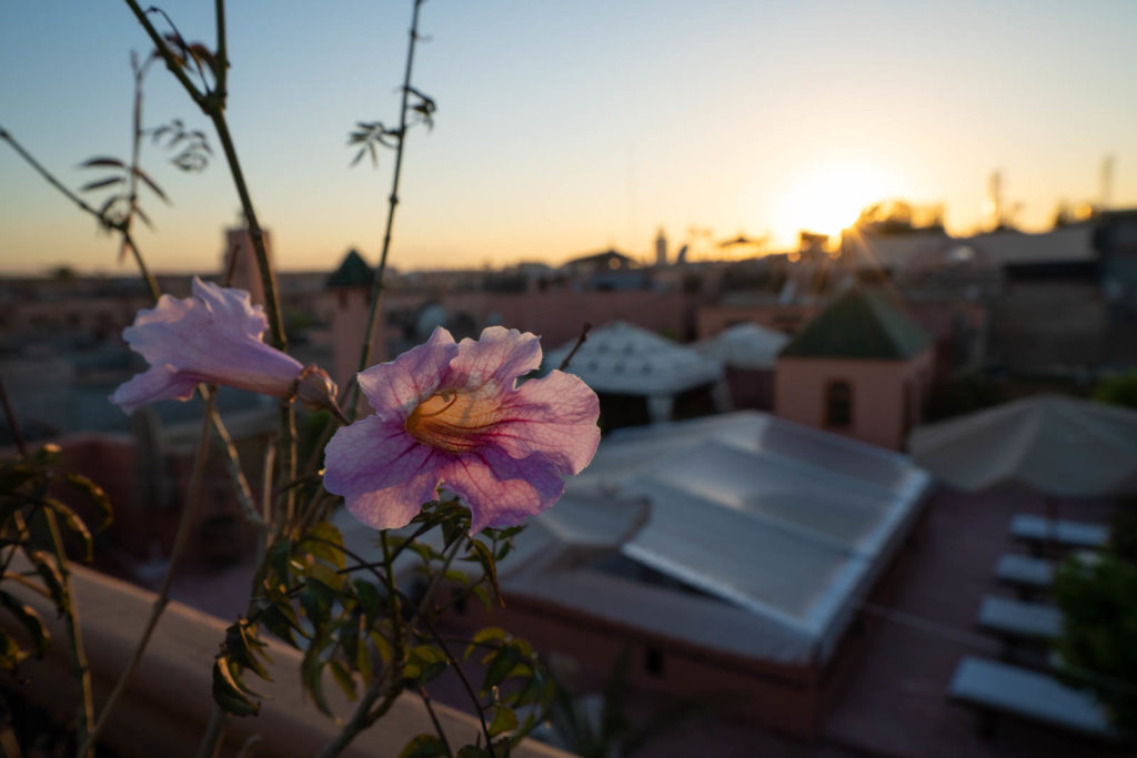 Le Pavillion Oriental, Marrakech, Morocco