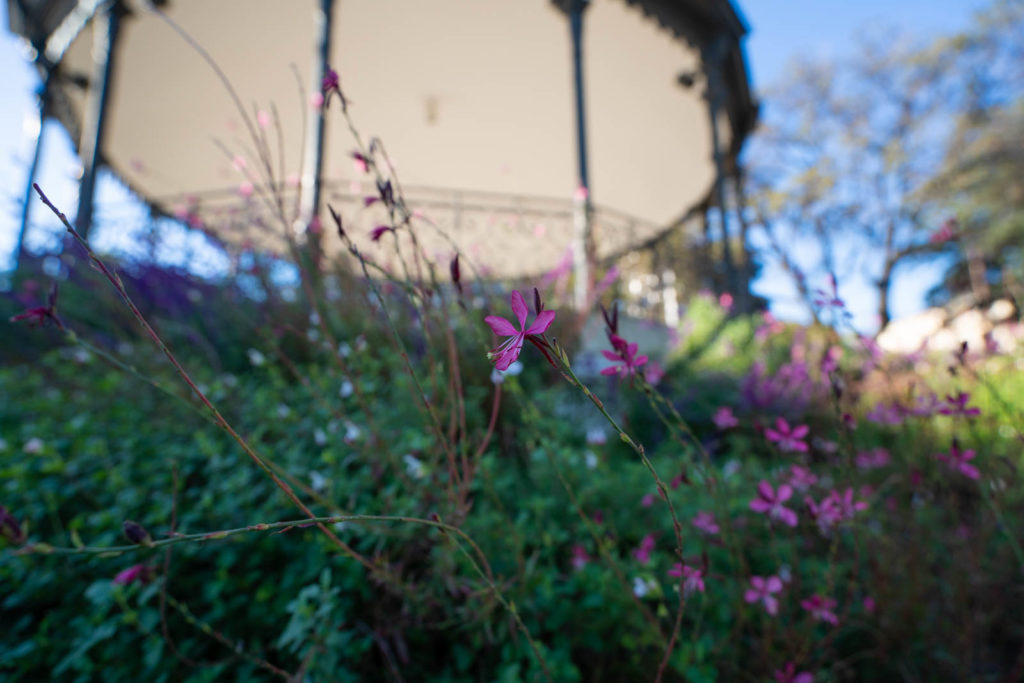 Jardin Albert 1er, Nice, France