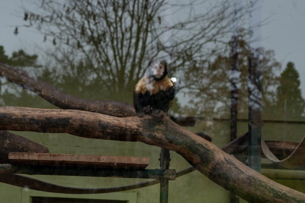 Parc de la Tete d’or, Lyon, France