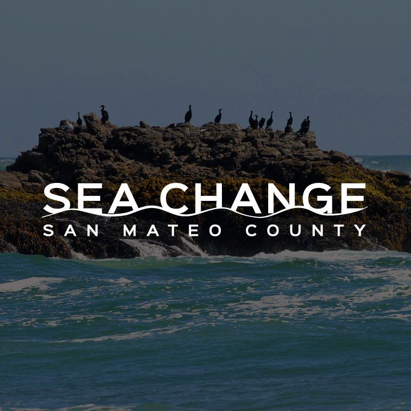 sea change san mateo county logo